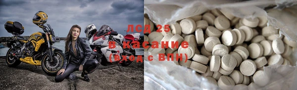 гашик Володарск