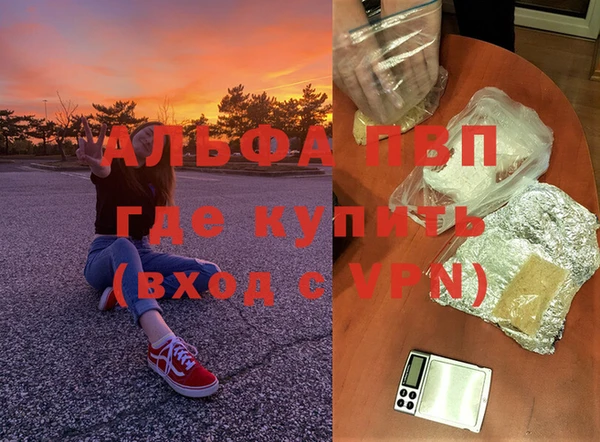 гашик Володарск
