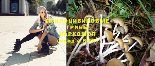 каннабис Верея