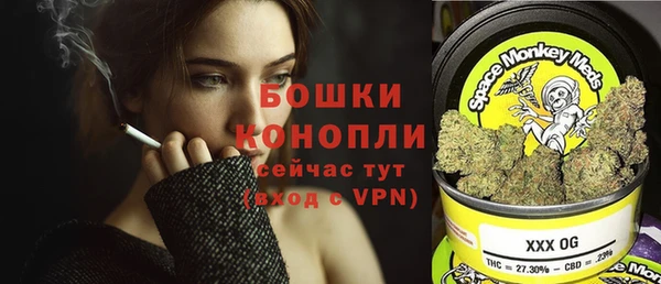 гашик Володарск