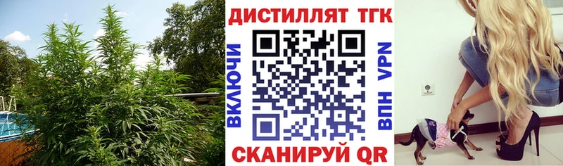 ТГК вейп  купить закладку  Кизел 