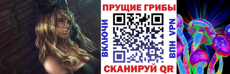 Псилоцибиновые грибы мицелий  hydra зеркало  Кизел 